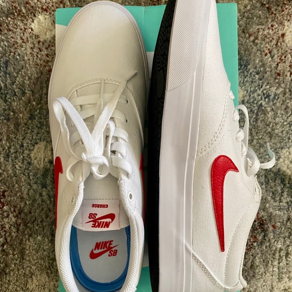 Nike Other - Nike SB shoes